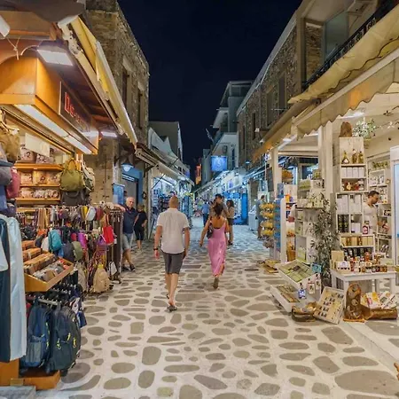 Old Town Wooden-garden House דירה *